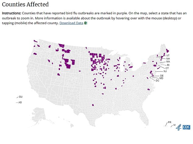 The above map shows the counties that have reported cases of bird flu so far this year (marked in purple). America has already had to cull more than 24million chickens and turkeys