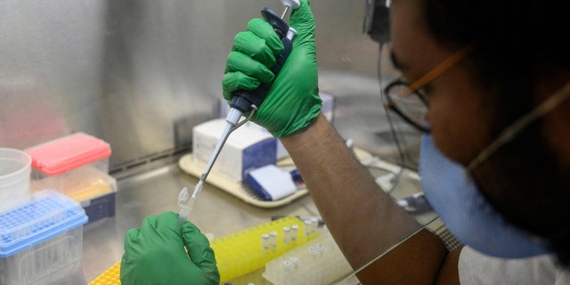 A research assistant prepares a PCR reaction for polio in a laboratory at Queens College on August 25, 2022 in New York City. 