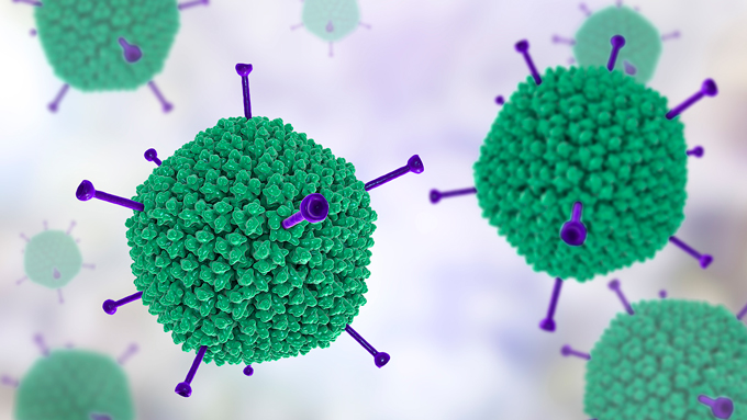 computer generated illustration of adenovirus structure in green and purple
