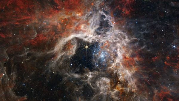 The Tarantula Nebula is a region of stars