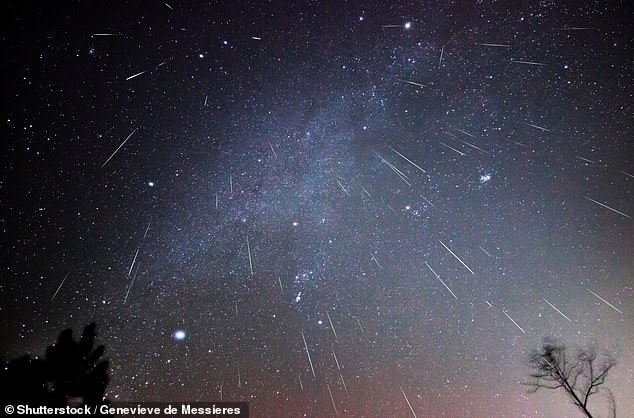 This comet isn't the only cosmic display set for 2023, as the year will kick off with the 40th annual meteor shower and end with the impressive Geminid meteor (pictured) in December.