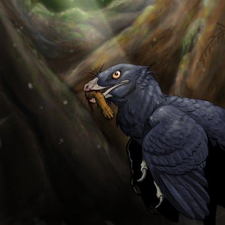 An artist's impression of a smaller, pinnate dinosaur known as a microraptor, published by Queen Mary University of London.