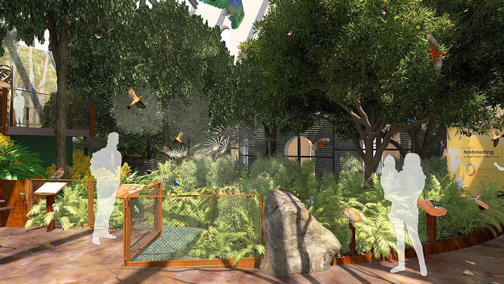An artist rendering of the new bird house at the Smithsonian National Zoo with trees and bushes and birds flying around.