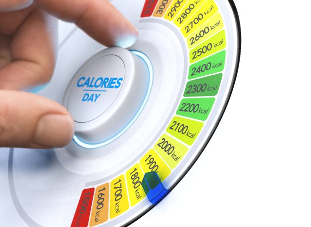 low calorie dial concept