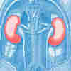 Most dialysis patients are not receiving the best treatment