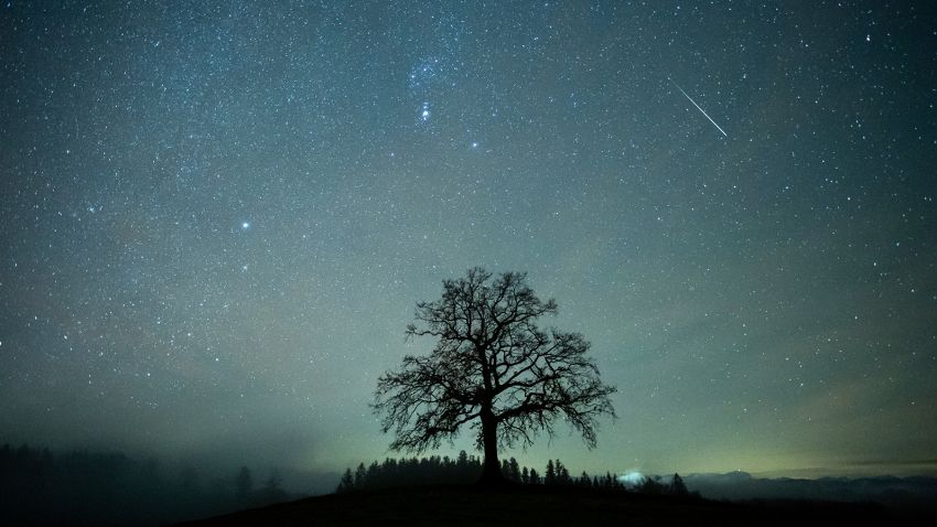 December 14, 2020, Bavaria, M'nsing: A shooting star in the Geminids meteor shower can be seen in the starry sky above a tree.  The Geminids are the strongest meteors of the year.  Photo by: Matthias Balk/image-covenant/dpa/AP Images