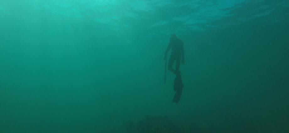 A photo of a diver swimming in a murky green body of water.