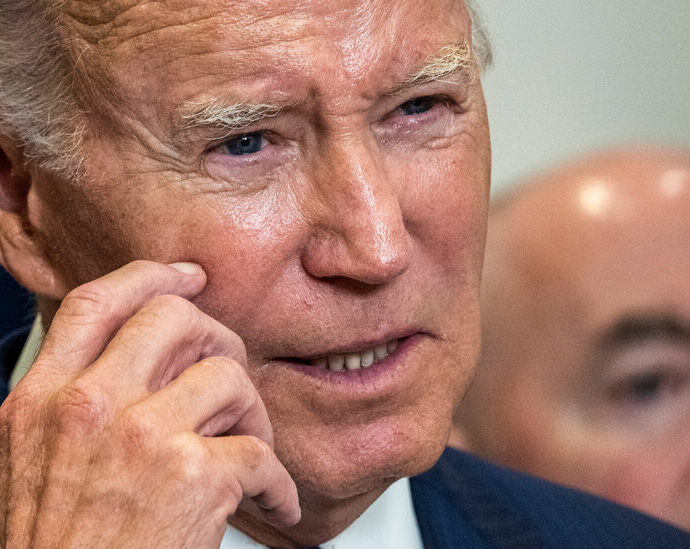 Biden Makes Lower Drug Prices a Centerpiece of His 2024 Campaign