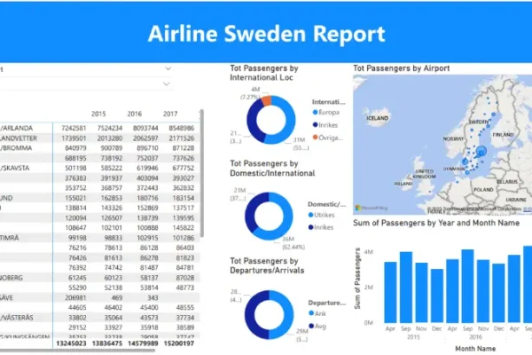 business-analytics-Services-Swiden airline-REFKA