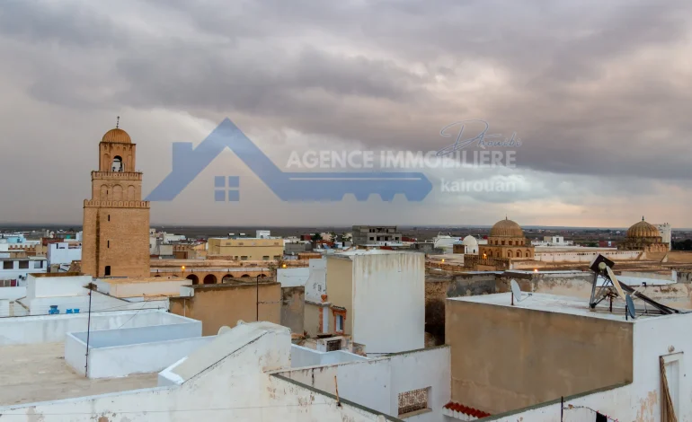 Essential Tips for Buying Property in Kairouan