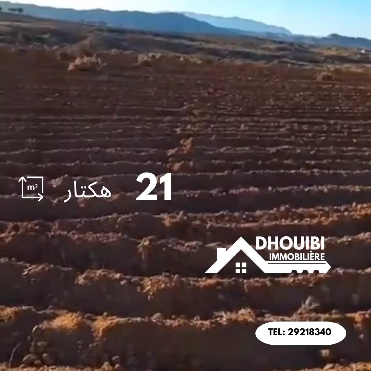 21 Hectares of Agricultural Land for Sale in Kairouan