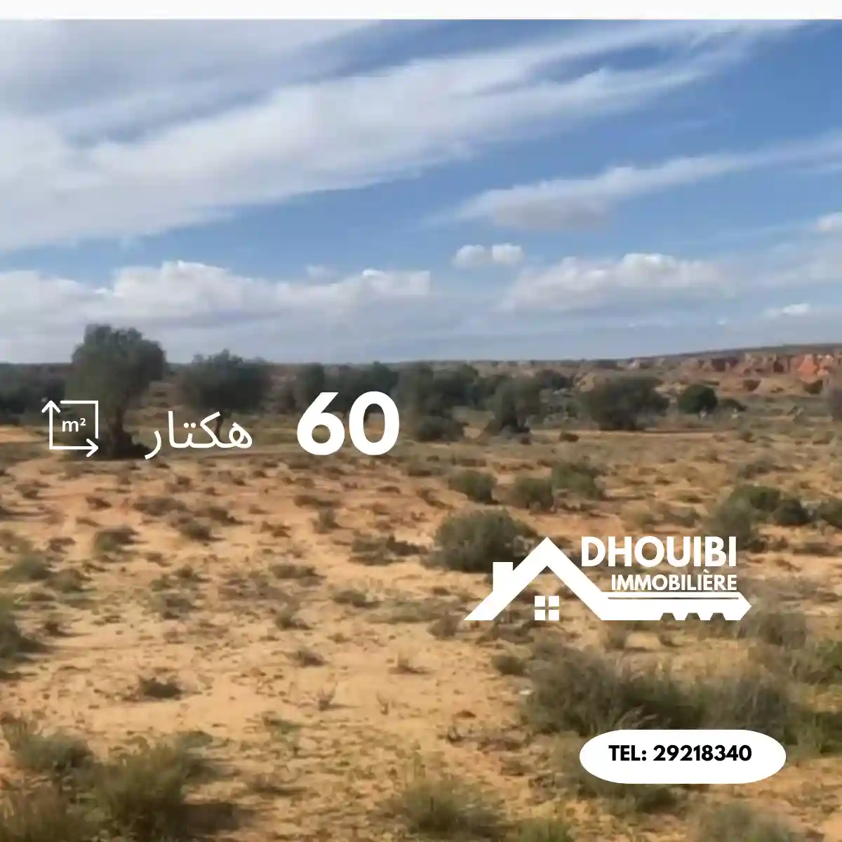 60 Hectar for sale in Kairouan – 60 هكتار للبيع