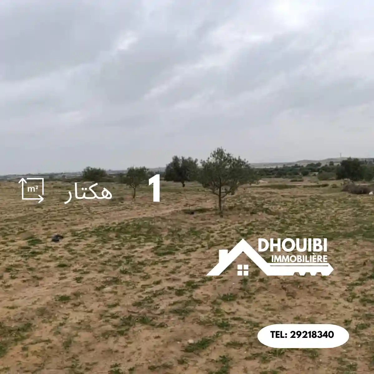 Agricultural Land for sale Sbikha kairouan