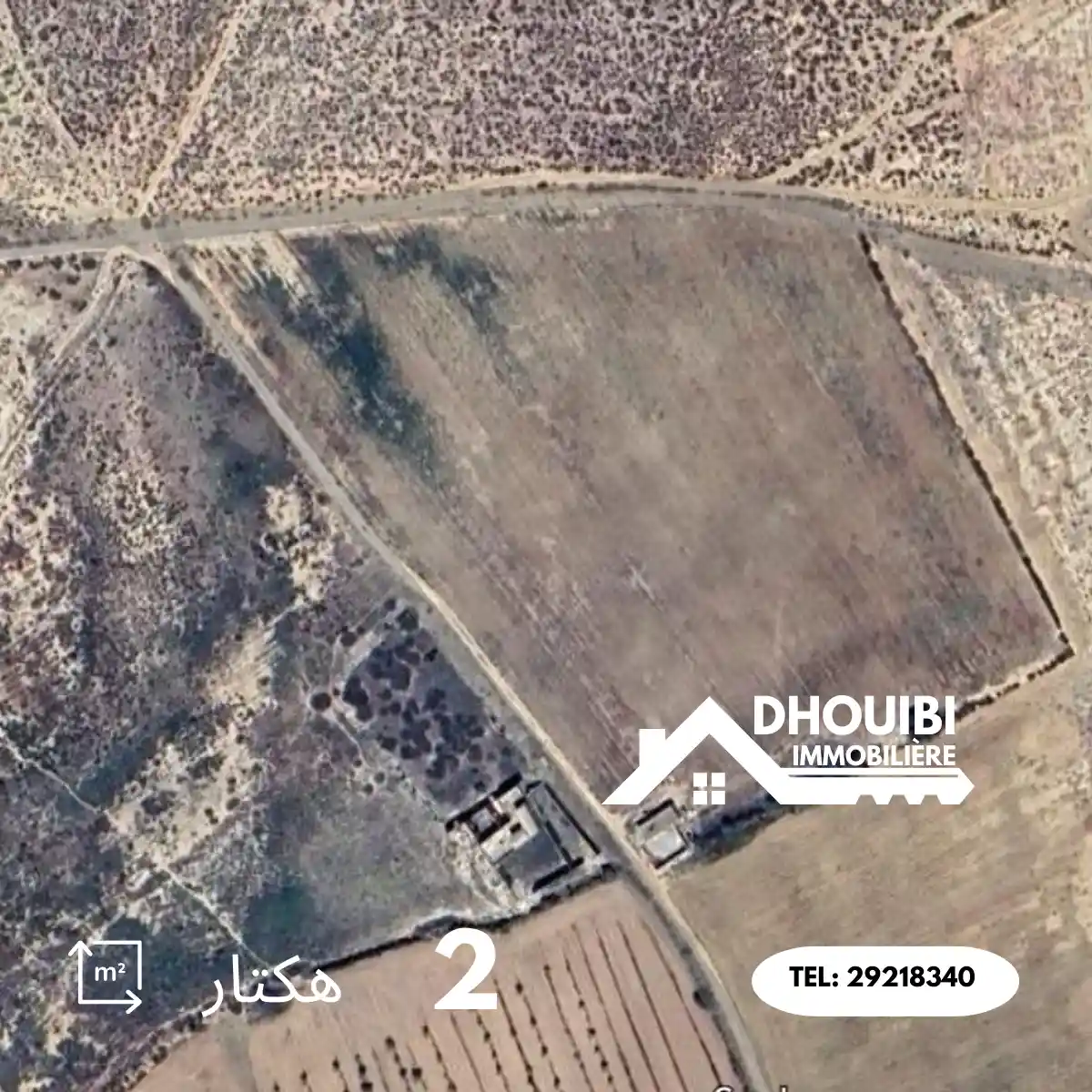 Agricultural land 2 hectares for sale in kairouan